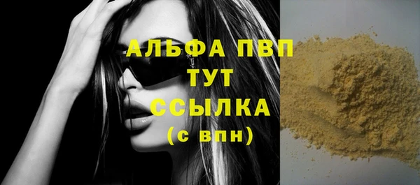 прущие грибы Гусь-Хрустальный