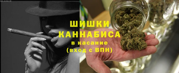 шишки Магас