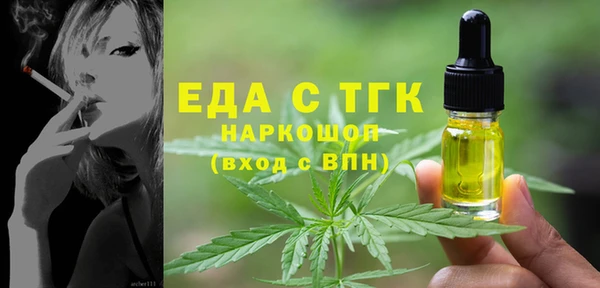 шишки Магас