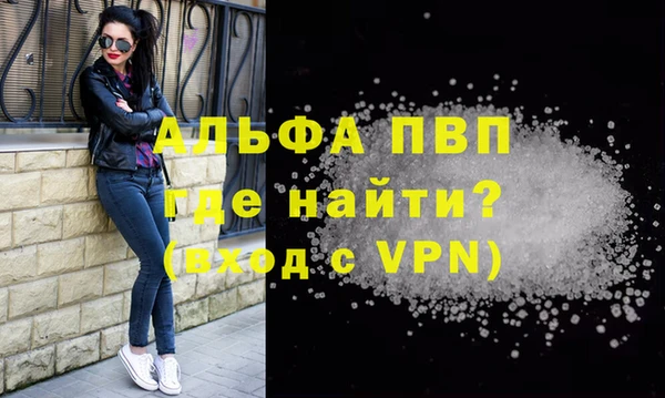 прущие грибы Гусь-Хрустальный