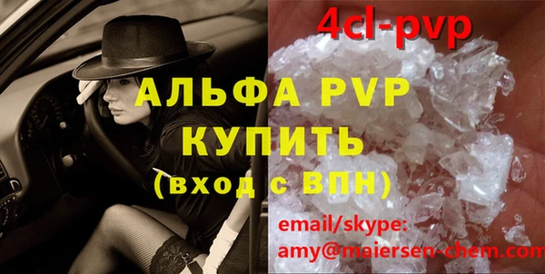 шишки Магас