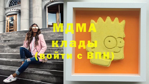 прущие грибы Гусь-Хрустальный