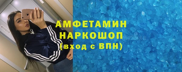 прущие грибы Гусь-Хрустальный