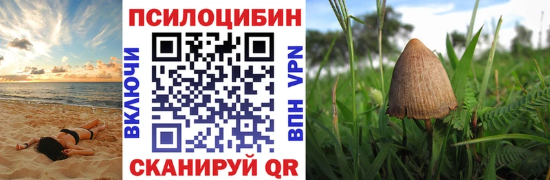 Псилоцибиновые грибы Psilocybine cubensis  мега ссылка  Жердевка 